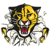 Small_1497890928-haven_tiger