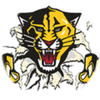 Small_1497969458-haven_tiger