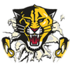 Small_1498053655-haven_tiger