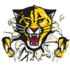 Small_1498053863-haven_tiger