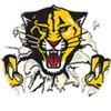 Small_1498058857-haven_tiger